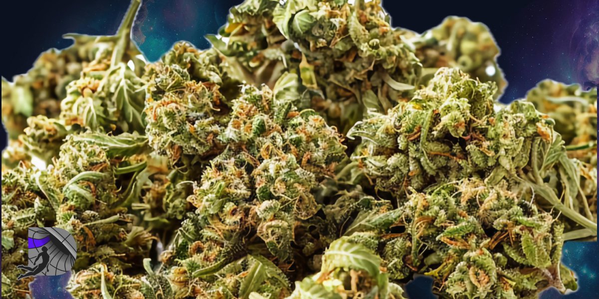 A pile of high-quality weed flowers set against a vibrant space and galaxy background. Includes New Dimension logo.
