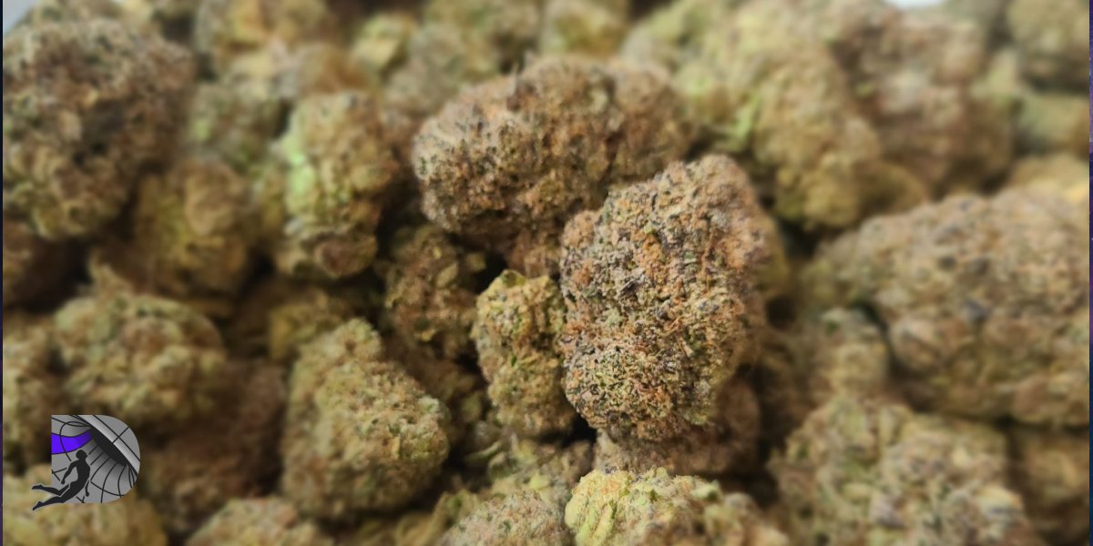 Pile of premium bulk cannabis flowers