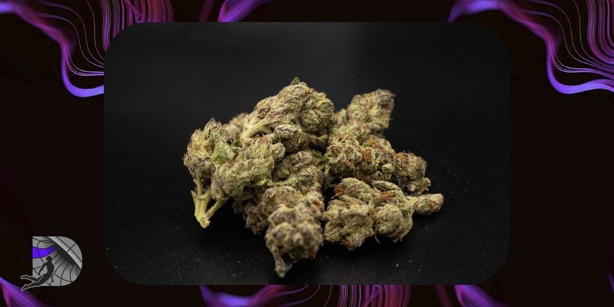 A pile of high-quality Durban Poison weed flowers featuring frosty trichomes and purple leaf accents.