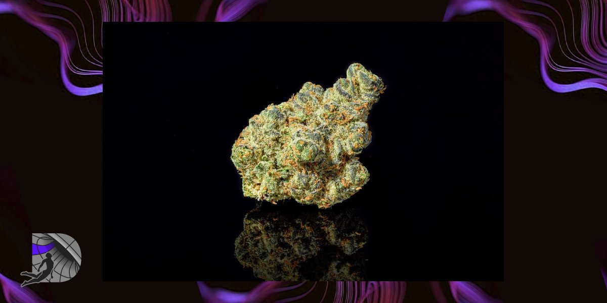 Macro shot of a single frosty cannabis bud with orange hairs