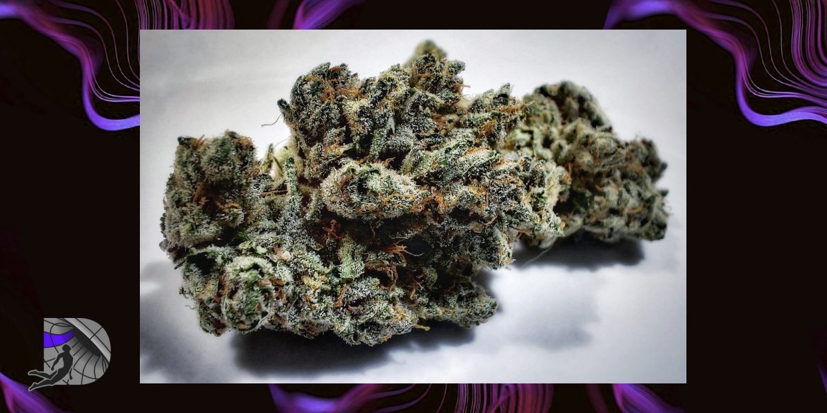 Cherry Diesel weed strain