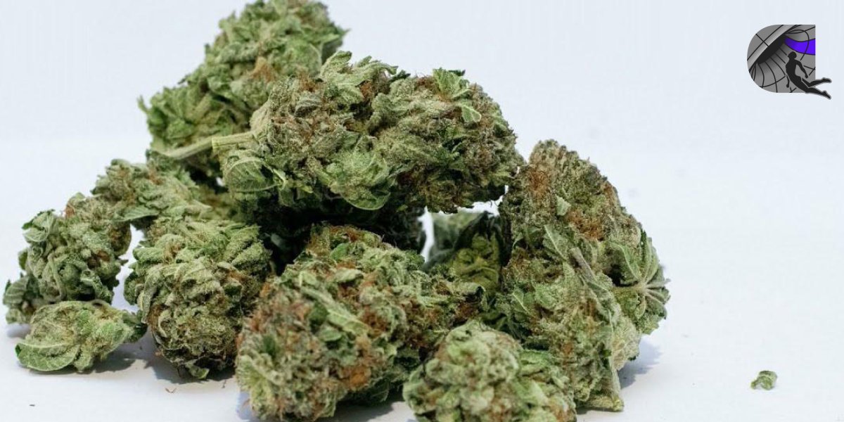 A pile of high-quality dried cannabis buds on a clean white background