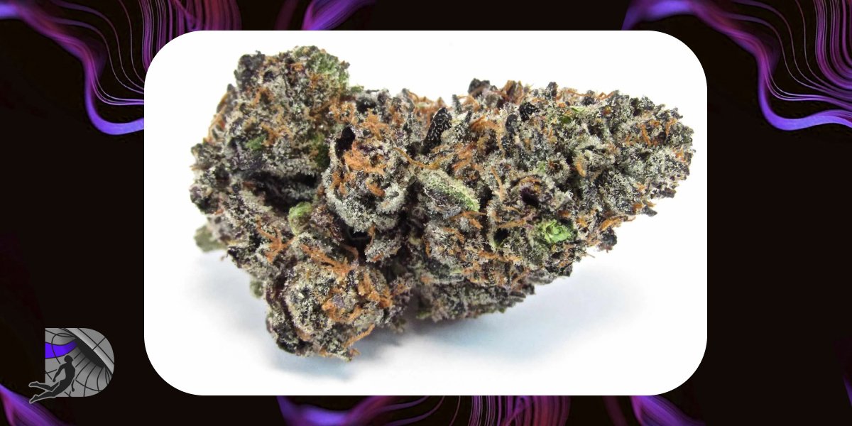 Honey Banana strain profile