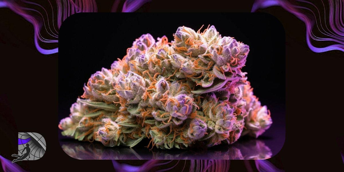 Extreme close-up of a frosty cannabis bud with bright orange accents.