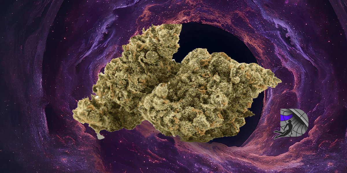 A dense collection of manicured green and purple indoor cannabis buds showcasing orange hairs and amber trichomes.
