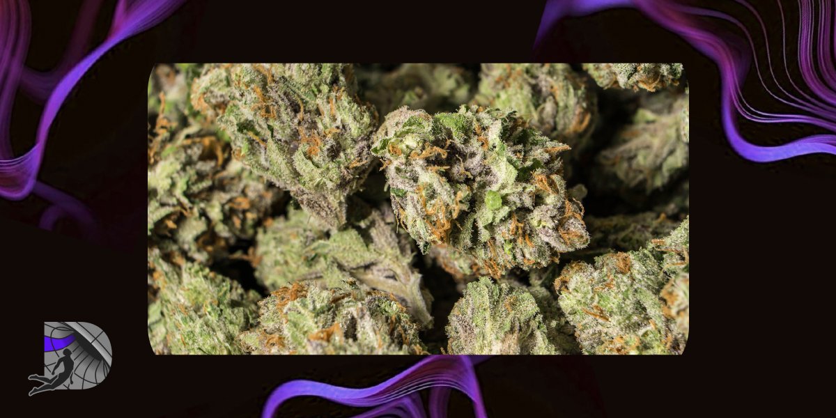 APE Premium Flower SFV OG
