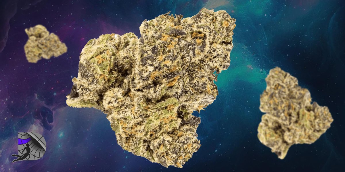 Multiple premium organic cannabis nuggets arranged over a dark abstract wave background