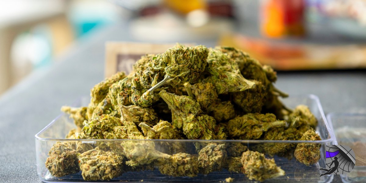 Why Is Dispensary Weed So Dry and How to Fix It