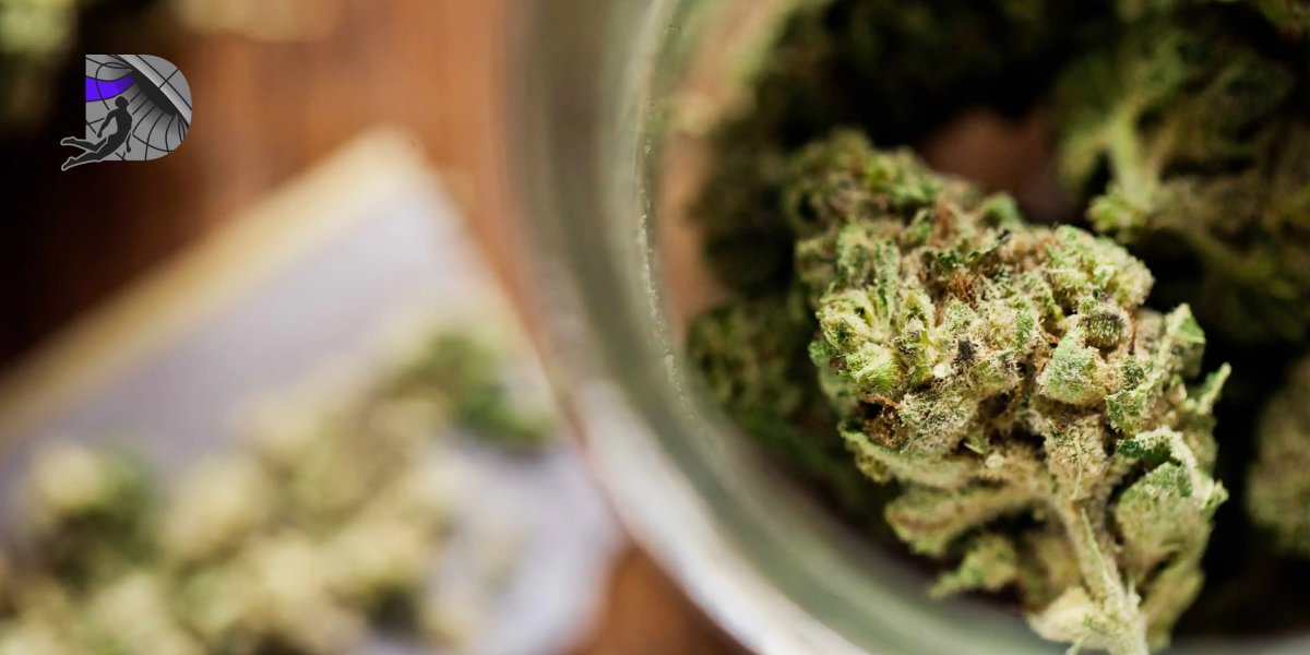 Close-up of cannabis buds with visible resinous trichomes.
