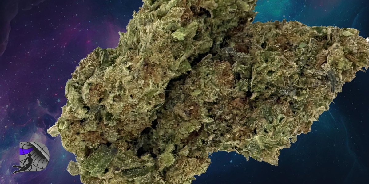 A close-up view of two dense green cannabis buds packed with trichomes against a dark blue and purple cosmic backdrop.