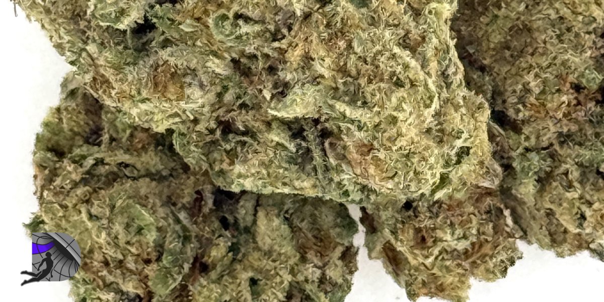 Extreme close-up of dense, trichome-rich premium cannabis flower buds.