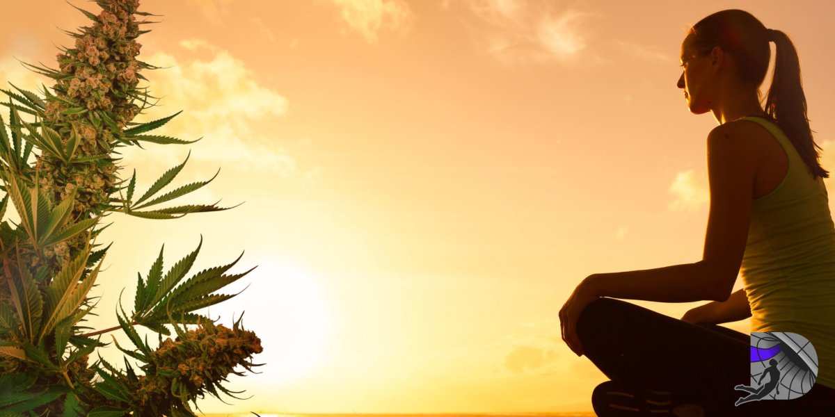 How to Beat the NYC Stress_ Cannabis for Mindful Relaxation