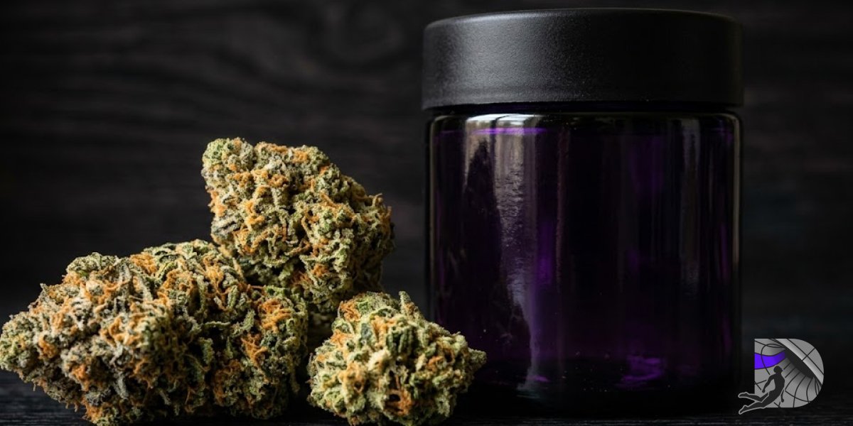 Dark violet UV glass storage jar next to fresh trichome-rich cannabis flower buds